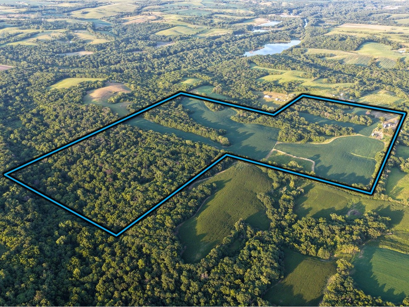 Listing Photo: Mahaska County, IA Land For Sale 2